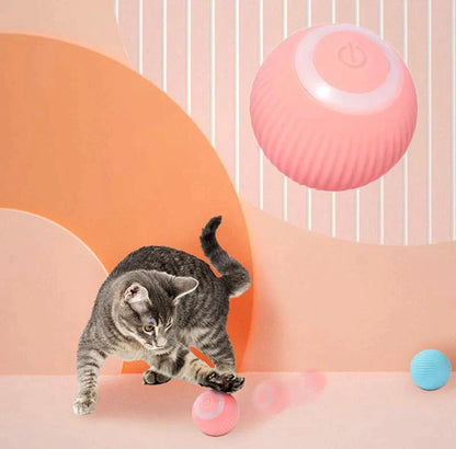 Interactive Ball for Cats