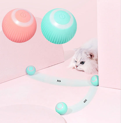 Interactive Ball for Cats